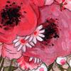 princesseDetail
