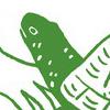 tortue